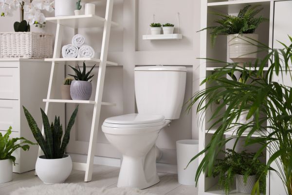 Cost of Toilet Repair in North Las Vegas