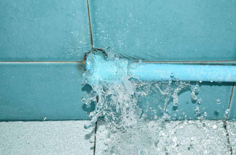 Leaky Pipe Repair