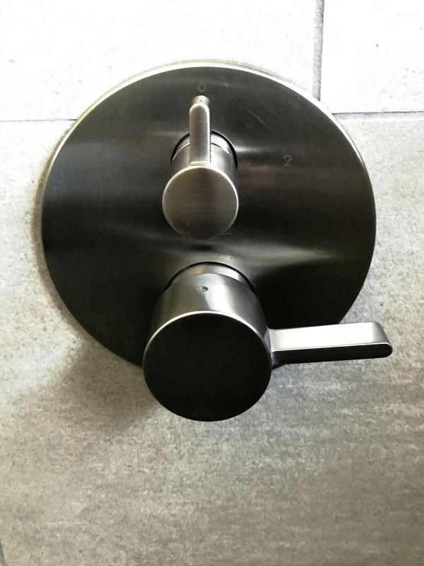 Shower Lever Repair